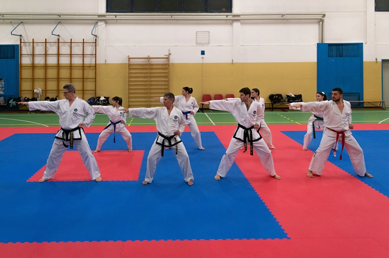 Taekwondo